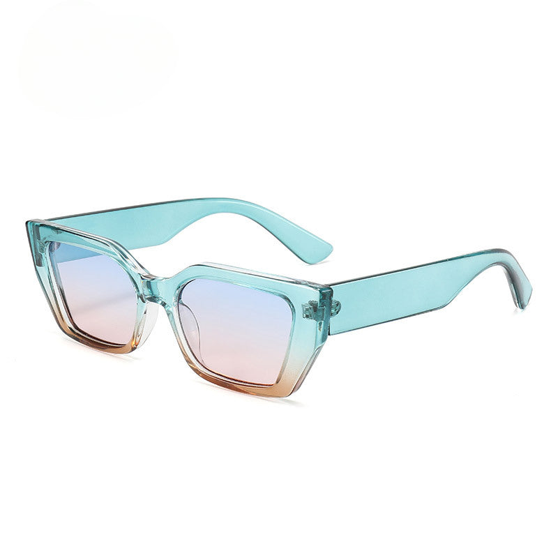 Lenstorm T1240 Classic Custom Latest Women Cat Eye Luxury Sunglasses